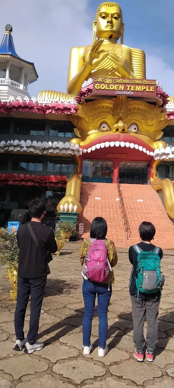 Dambulla Golden Temple Tour