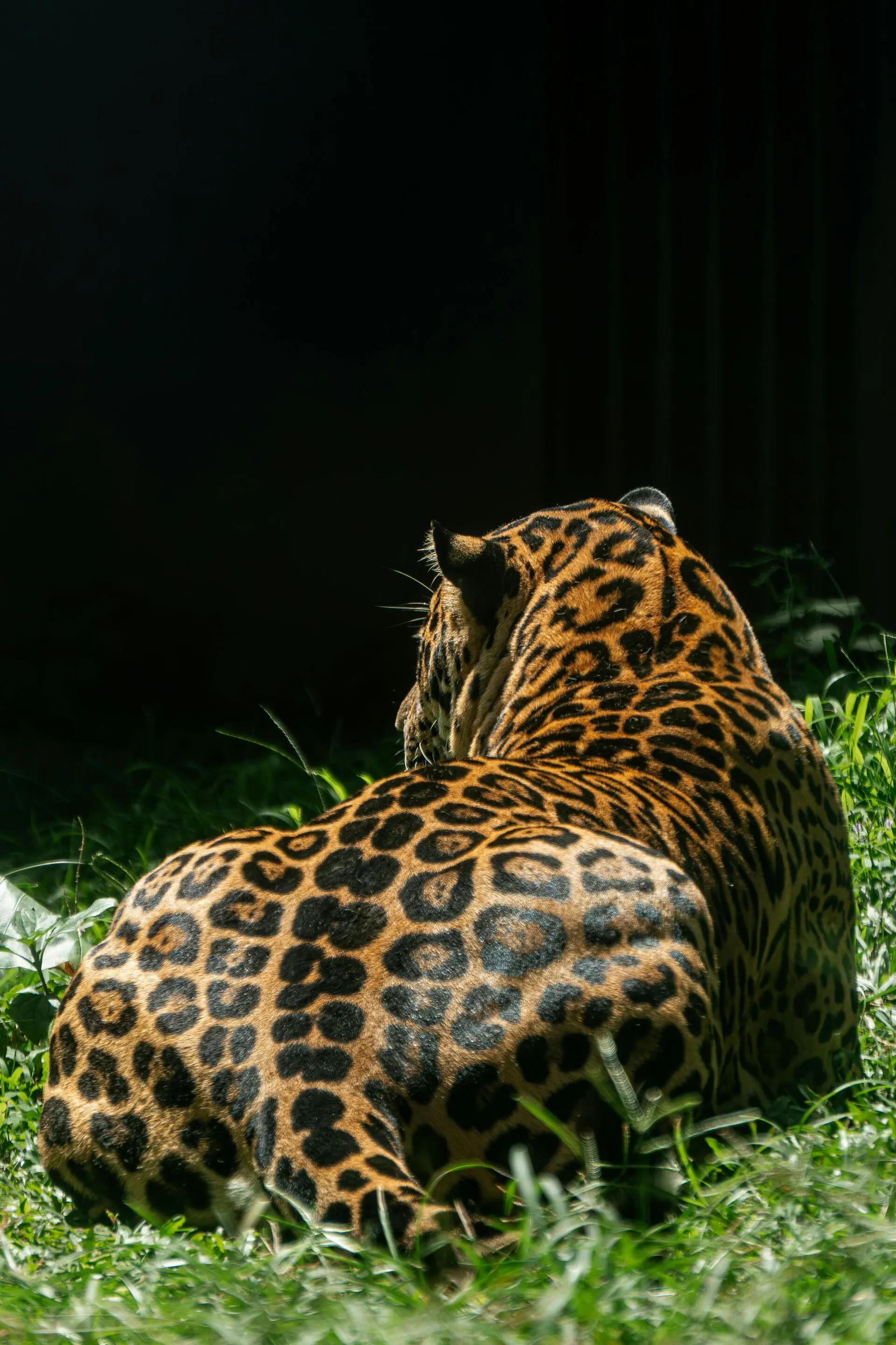 Sri Lanka Wildlife Safari Tour - Untamed Soul